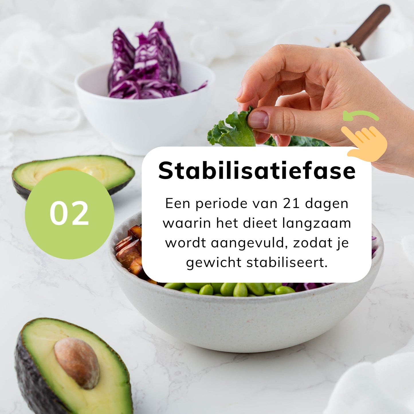 
                  
                    Momentum® Lifestyle-Programm
                  
                